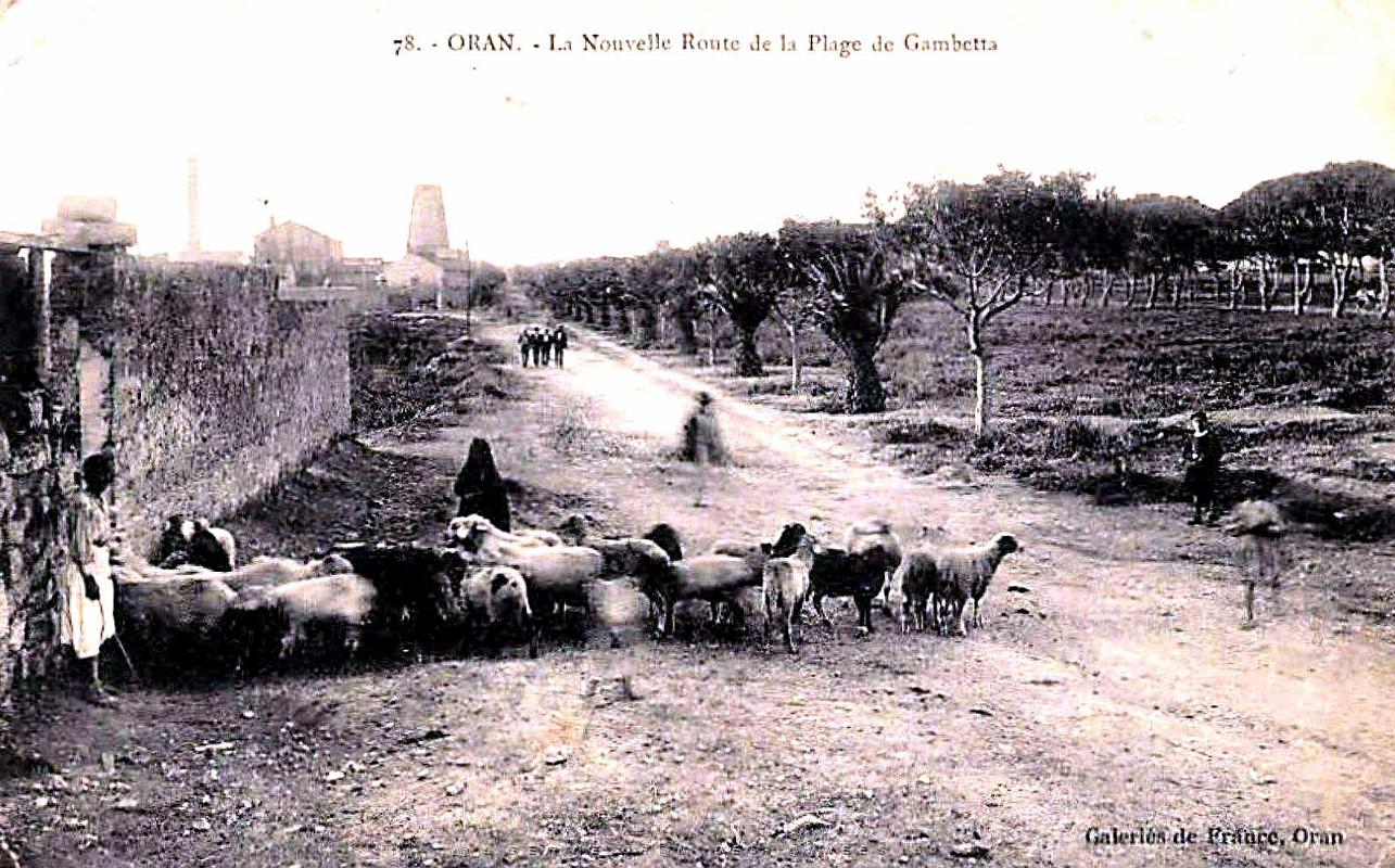 Oran-Gambetta - Nouvelle Route Plage - 1926.jpg